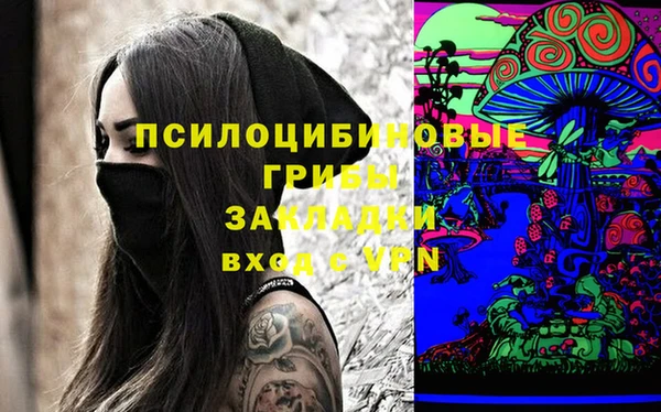 синтетический гашиш Алексин