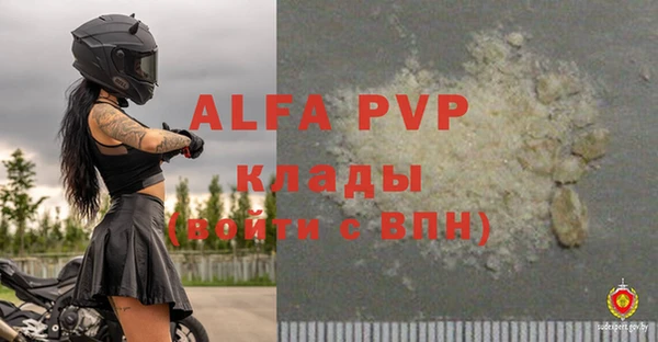 винт Алзамай