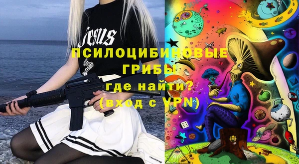 винт Алзамай