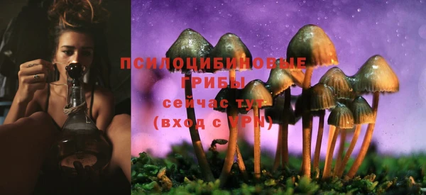 синтетический гашиш Алексин