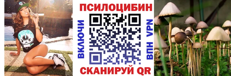 Псилоцибиновые грибы Cubensis  как найти   Аргун 