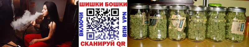 где продают   Аргун  Каннабис ГИДРОПОН 